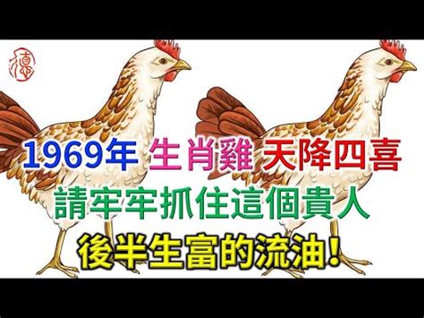 生肖雞 五行|生肖屬雞五行屬性的人性格命運「金、木、水、火、土。